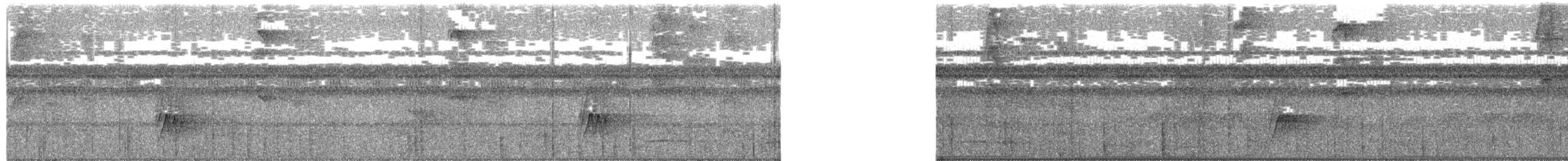 Серогрудый гусеницеед - ML177235101