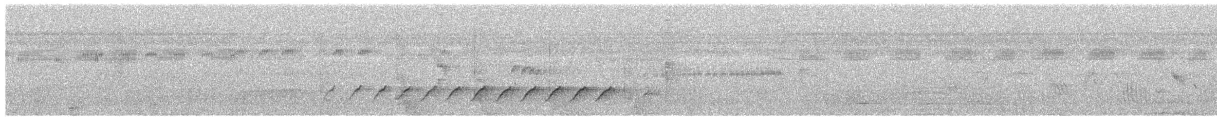 ミナミカワリヒメウソ（亜種 カケタヒメウソ） - ML177295811