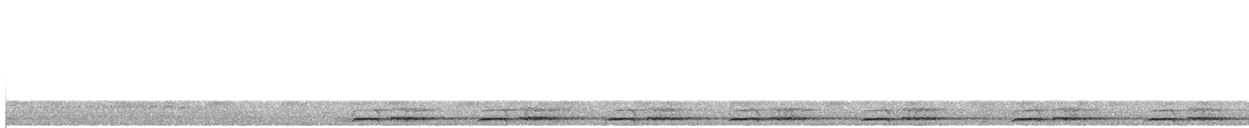 Звёздчатый зубцеклювый перепел - ML177299001