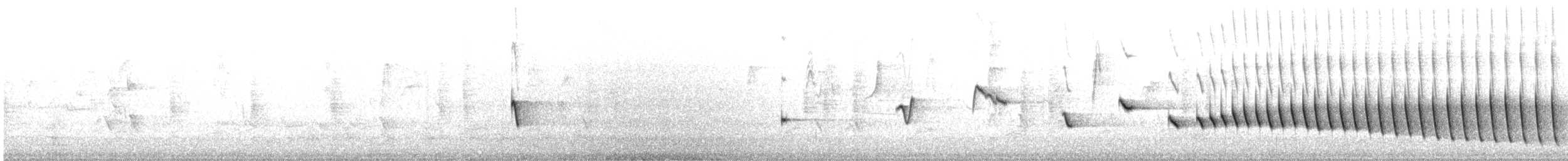 Gürültücü Çalıkuşu - ML177316851