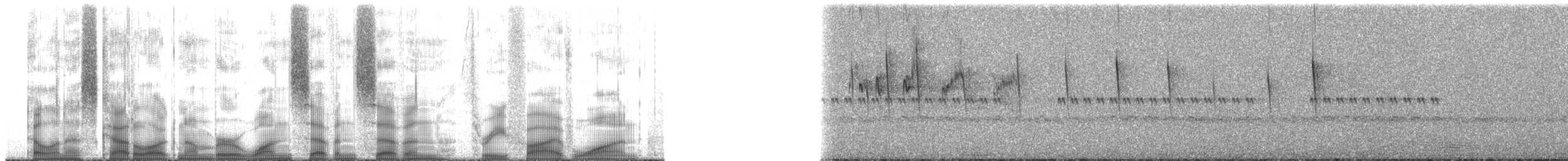 Ashy-tailed Swift - ML177351