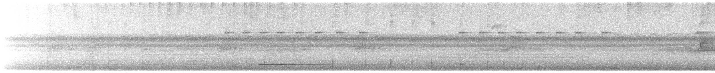 Thicket Tinamou - ML177362821