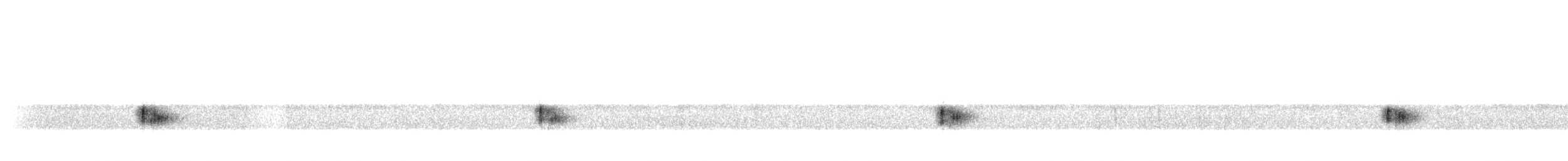 strakapoud hnědohlavý - ML177371041