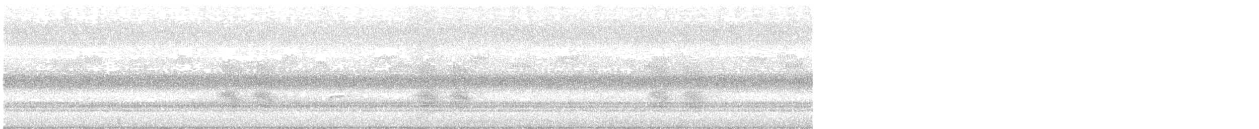 Catharus sp. - ML177394541