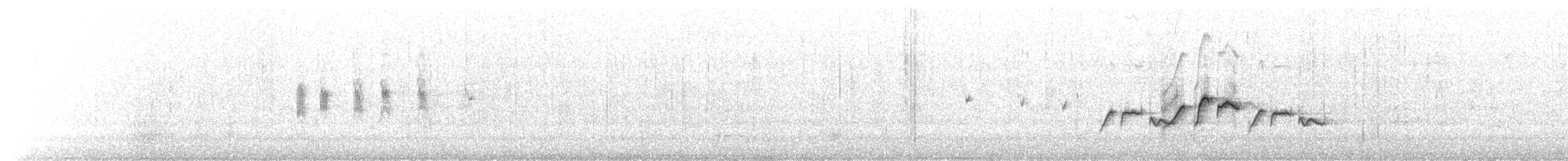 Stutzschnabel - ML177407021