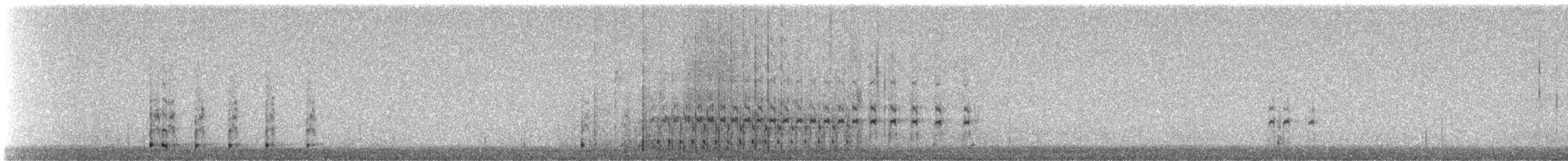 holub chocholatý - ML177407511
