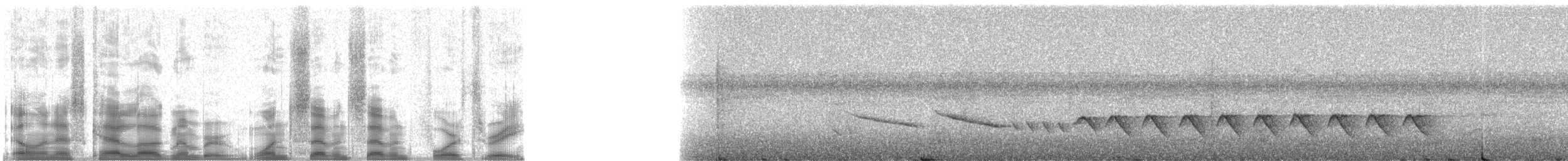 Riverbank Warbler (Southern) - ML17743