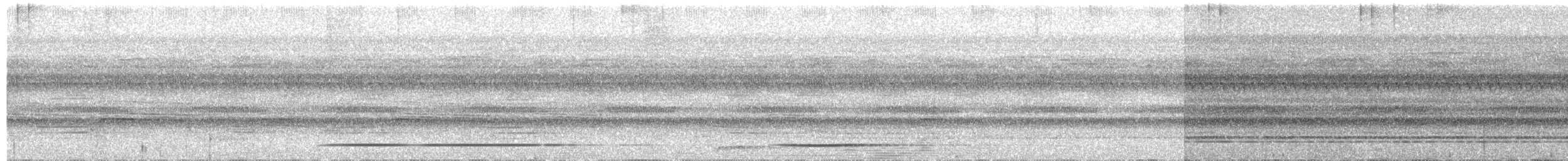 Tinamou à gorge blanche - ML177432671