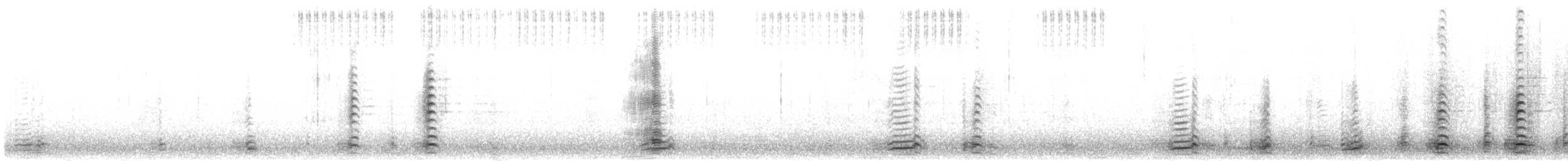 berneška velká - ML177432891