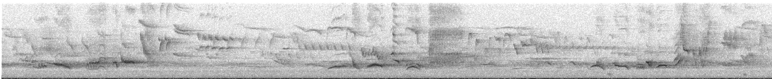 kos černý - ML177446781