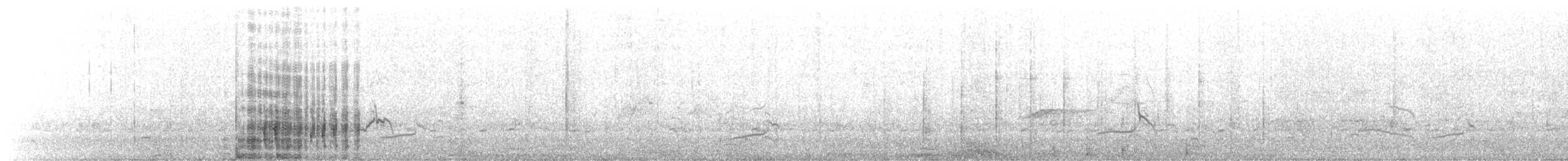 קורמורן גדול (לבן-חזה) - ML177489251