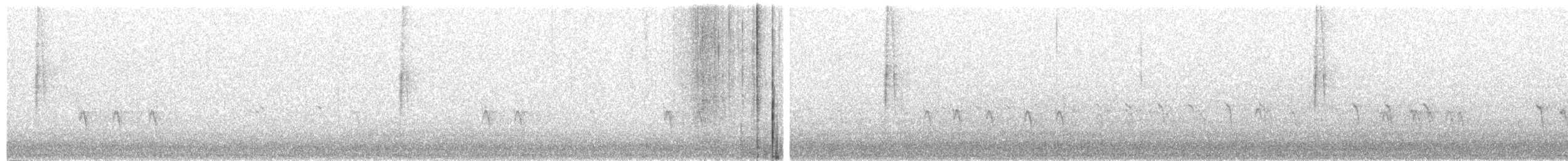 Fichtenkreuzschnabel - ML177506421