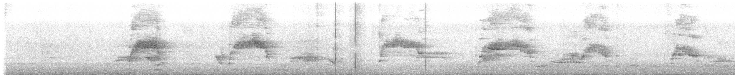 Ібіс молуцький - ML177544871