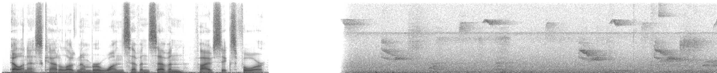 Araripe Manakin - ML177564