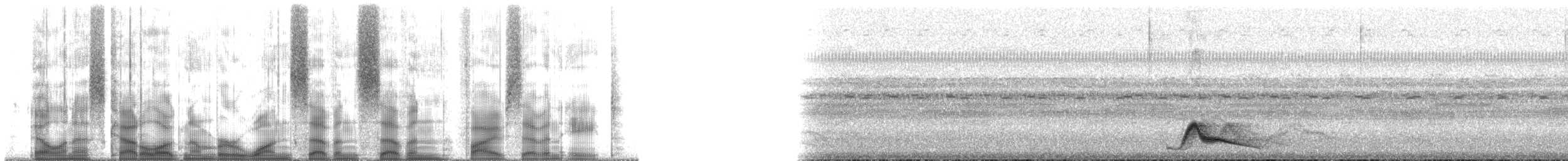 Common Pauraque - ML177578