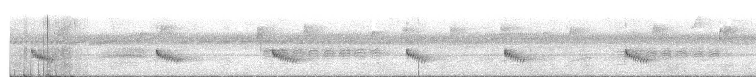 Каролинский крапивник - ML177578841