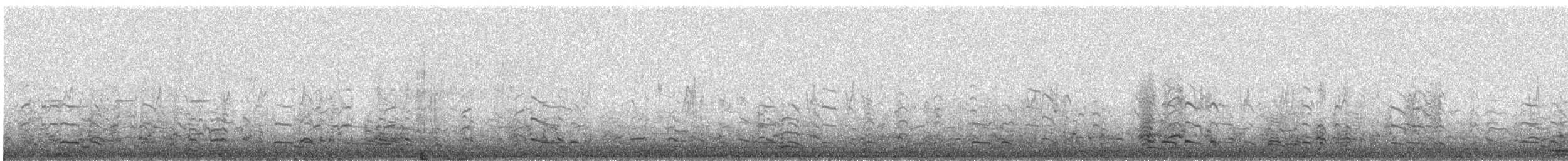 husa běločelá - ML177614281