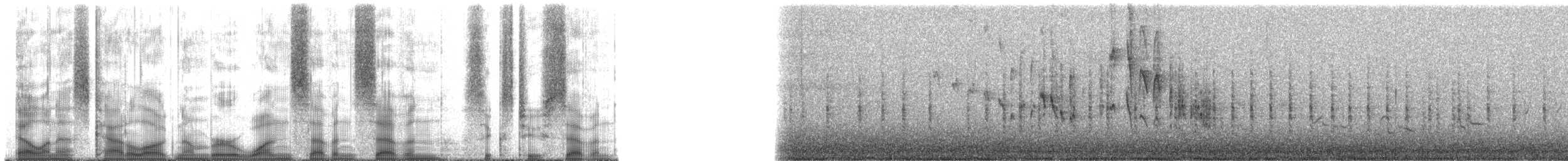 Troglodyte familier (groupe aedon) - ML177627