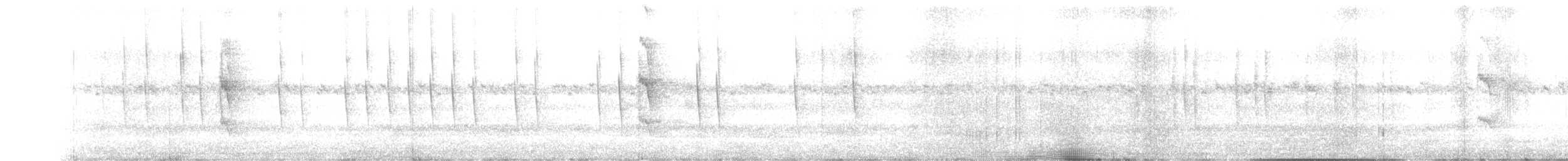 Slender-tailed Woodstar - ML177670461