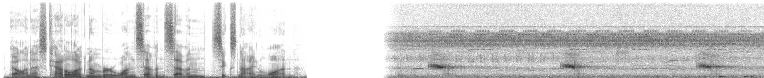 Toucan vitellin (vitellinus) - ML177691