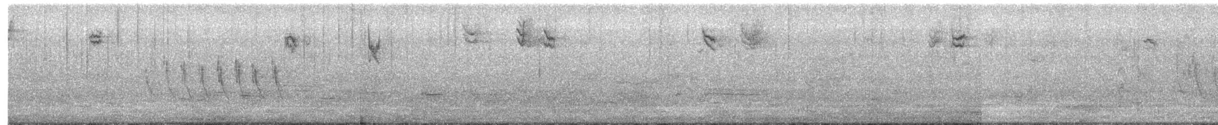 Bewick Çıtkuşu - ML177698191