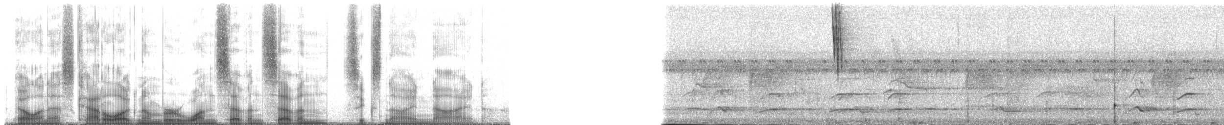 Kara Kulaklı Daknis (lineata) - ML177699