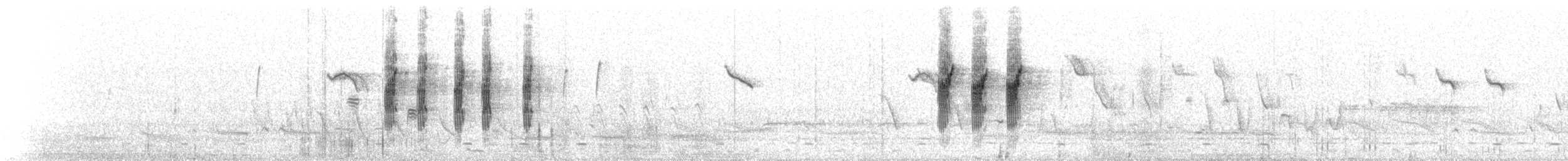 Slaty-backed Thornbill - ML177711941