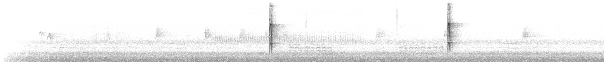 strakapoud osikový (ssp. pubescens/medianus) - ML177718671