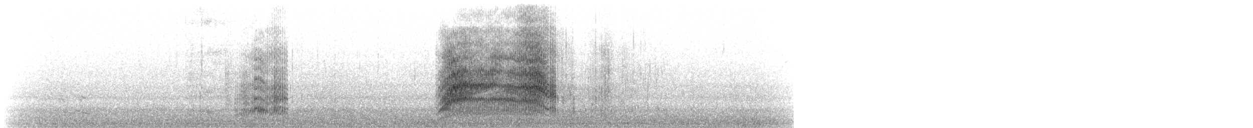 Mouette argentée (novaehollandiae/forsteri) - ML177749961