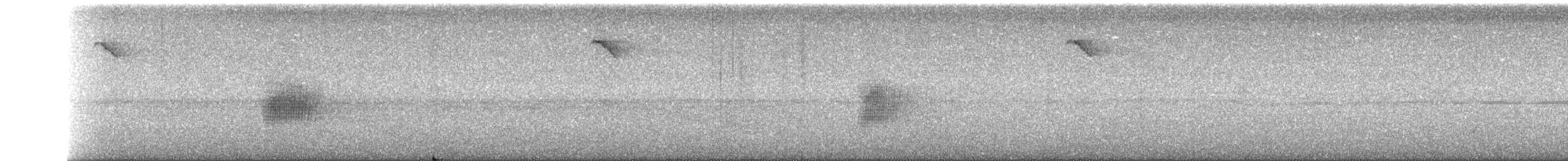 Dacnis bleu - ML177779801