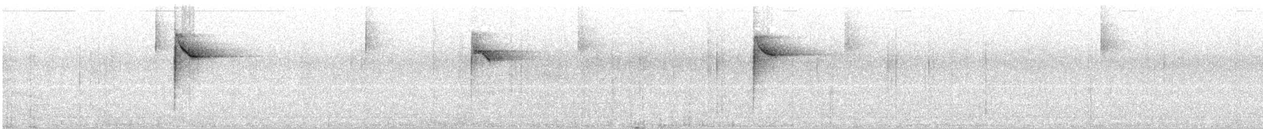 Paruline à paupières blanches - ML177817551