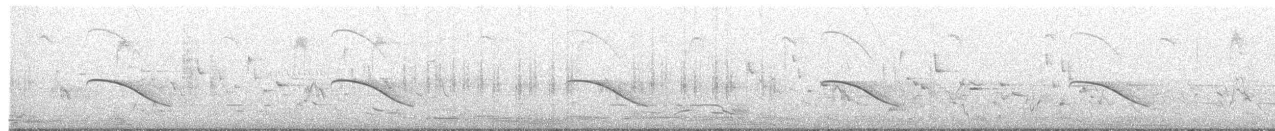 Horsfield's Bronze-Cuckoo - ML177828781