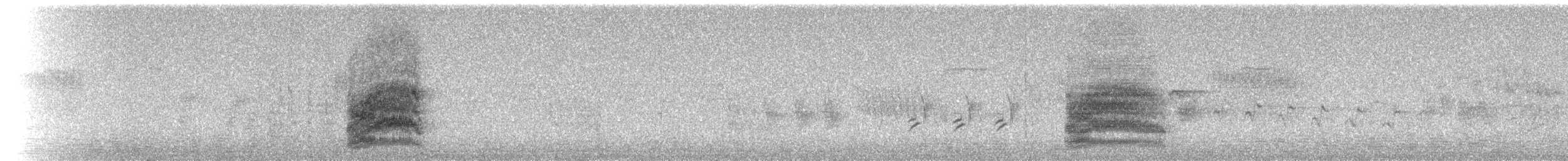 Тауї плямистий - ML177834831