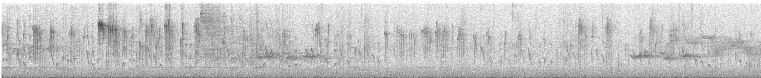 Orite à gorge blanche - ML177858121