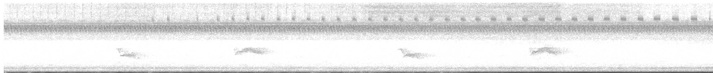 Светлобрюхий фиби - ML177882491