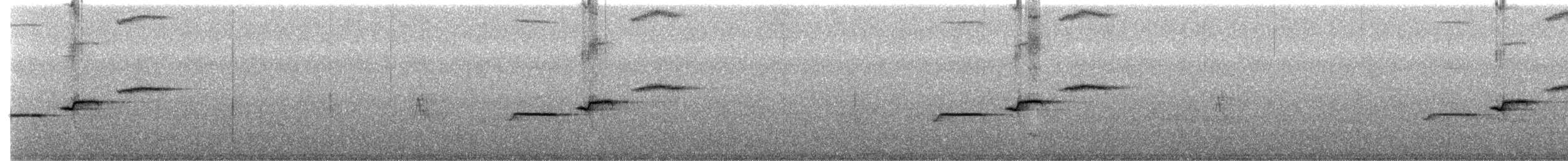 Дрізд-короткодзьоб сірий - ML177887161