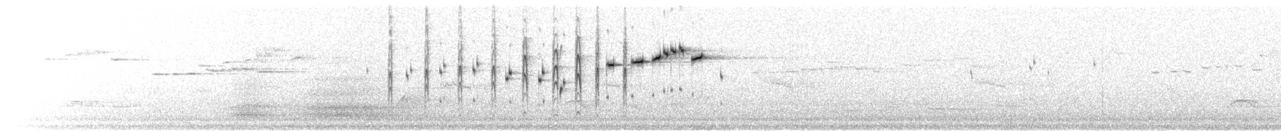 gråviftestjert (albiscapa) - ML177954741