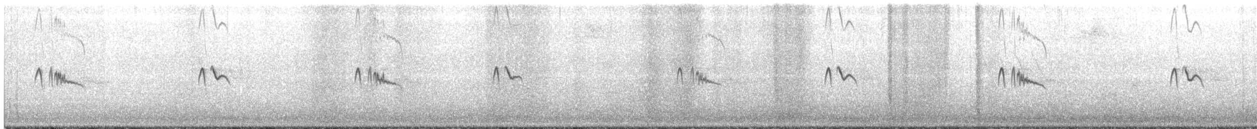 Black Phoebe - ML177986771