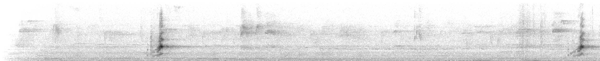 svarthaleparakitt - ML178006961
