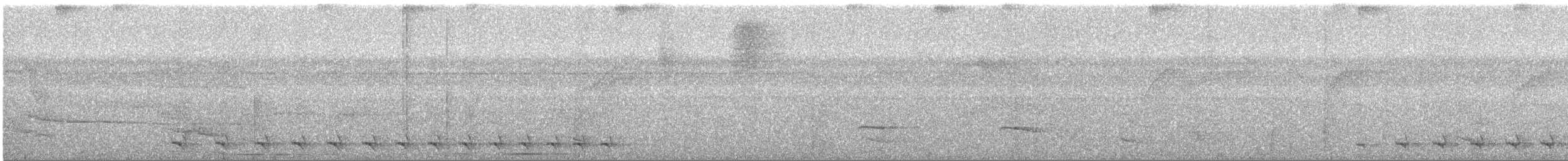 Светлобрюхий колибри-отшельник - ML178013651