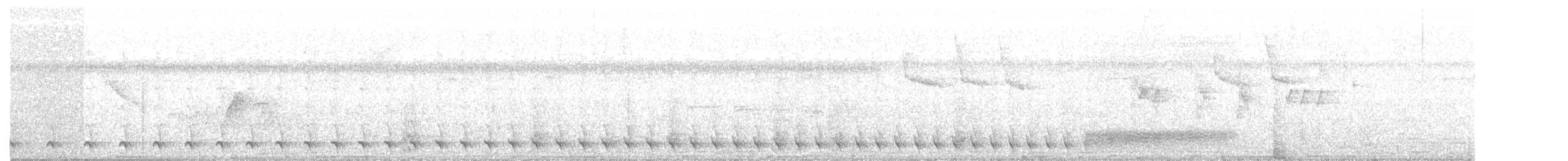 Weißbrust-Ameisenwürger - ML178046201