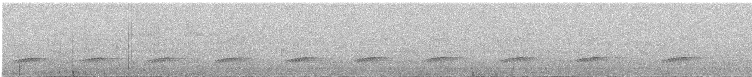Little Spotted Kiwi - ML178077101
