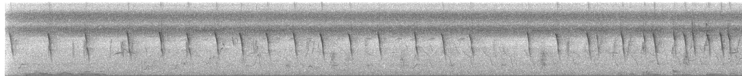 Stutzschwanzsegler - ML178151321