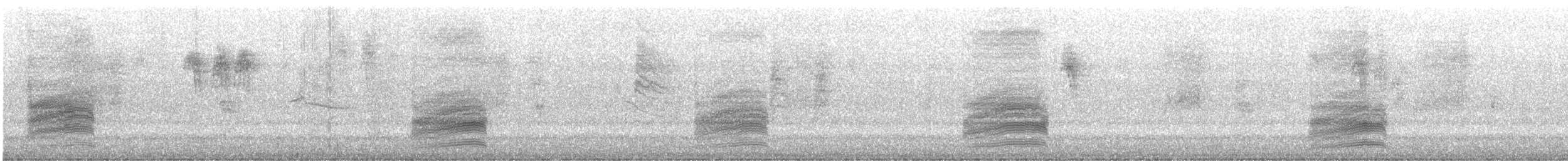 Fleckengrundammer [oregonus-Gruppe] - ML178257311