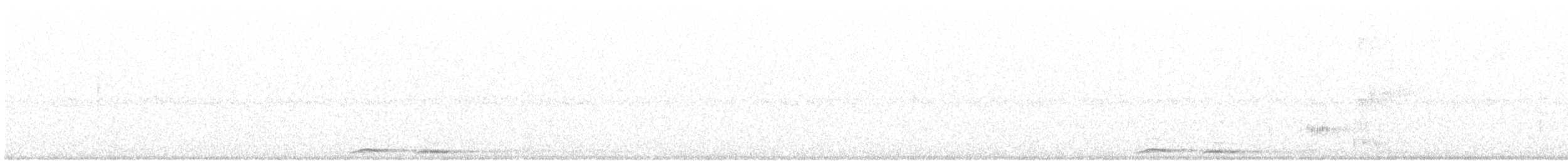 Nínox Australiano (grupo boobook) - ML178321801