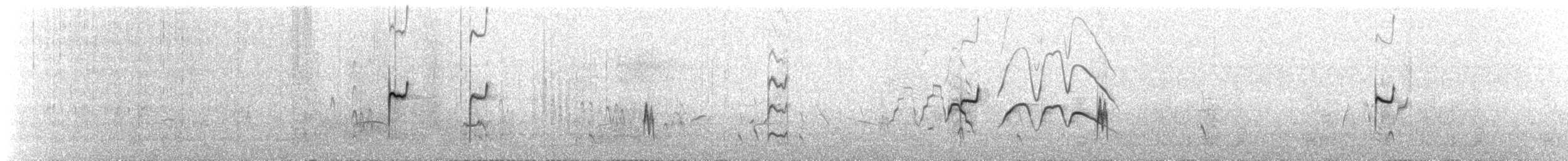 Chorlitejo Tricollar - ML178441931