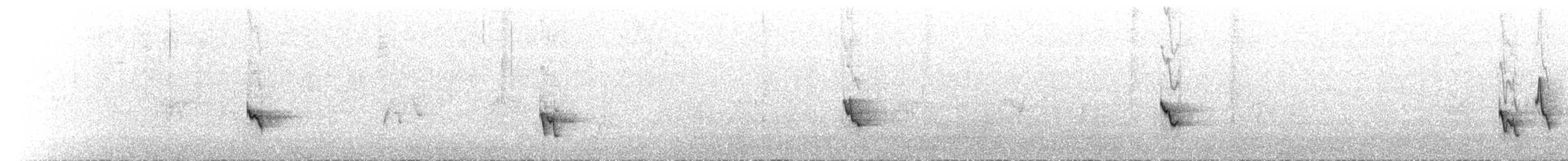 Мышиная нектарница - ML178445771