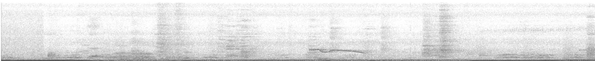 Riesennachtschwalbe - ML178502381