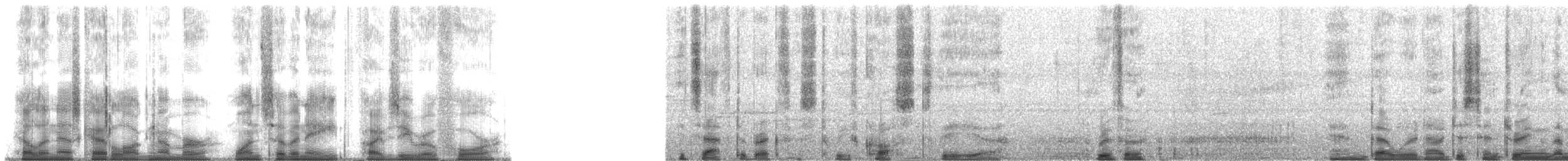 Fleckflügeldrossel - ML178504