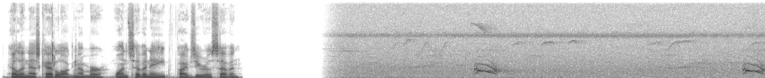 Kestane Sırtlı Serçe Baykuşu - ML178507